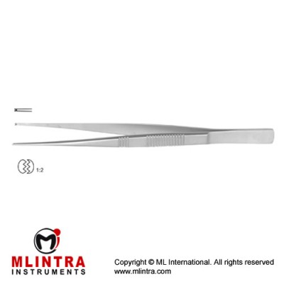 Dissecting Forceps Straight - 1 x 2 Teeth Stainless Steel, 17.5 cm - 7"